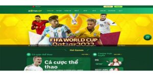 Giới thiệu Bongvip – Nền tảng cá cược uy tín tại Việt Nam