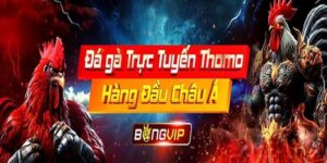 Khám phá Bongvip thế giới cược đá gà thomo siêu đỉnh